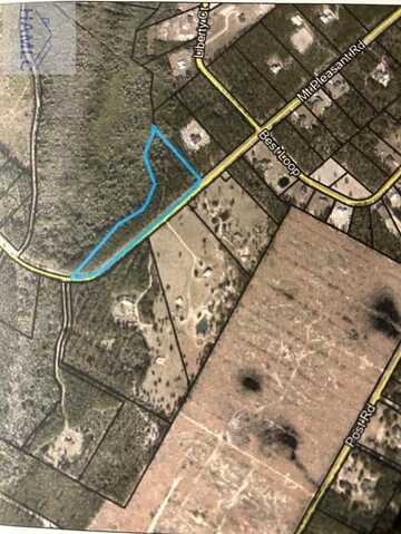 Mt Pleasant Road, Hortense, GA 31542