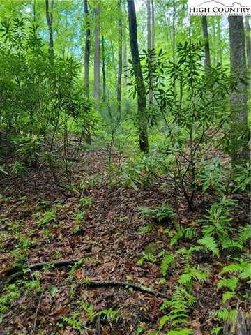 Tbd Rocky Top Road, Lenoir, NC 28645