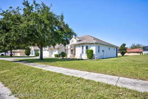 13267 Linzia Lane, Spring Hill, FL 34609