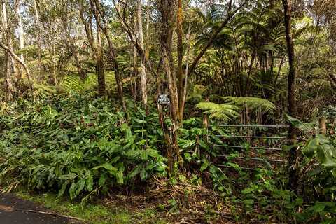 9TH ST, VOLCANO, HI 96785