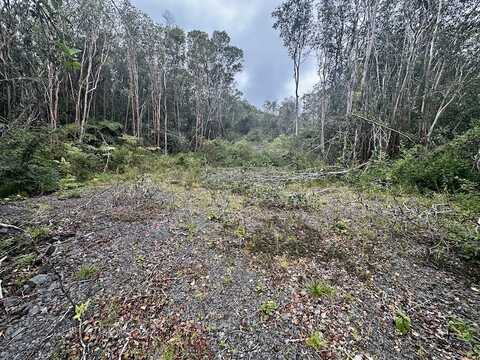 18-2270 ROAD 5, VOLCANO, HI 96785