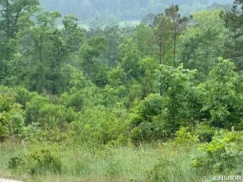380 ANGEL, Amity, AR 71921