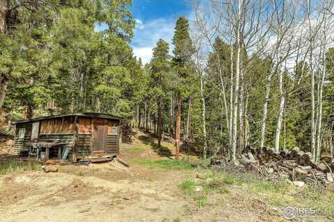 765 W 1st St, Nederland, CO 80466