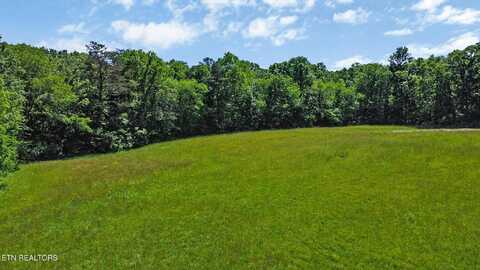 1090 Old Sunbright Rd, Jamestown, TN 38556
