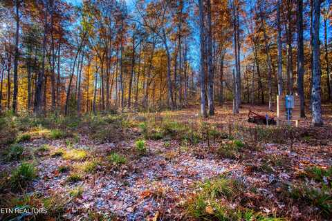 54 E Ridge Rd, Allardt, TN 38504