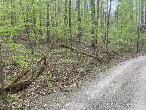 Lot#4,5&6 LAKEWOOD RD, Maynardville, TN 37807