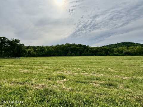 Rutledge Pike, Blaine, TN 37709