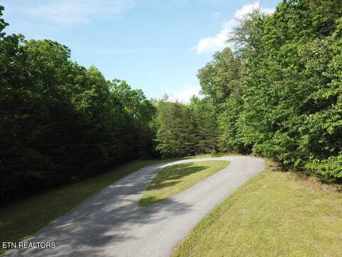 Hawks Bluff Rd, Spencer, TN 38585