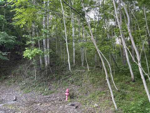 0 Waterwalk Court, Smithville, TN 37166