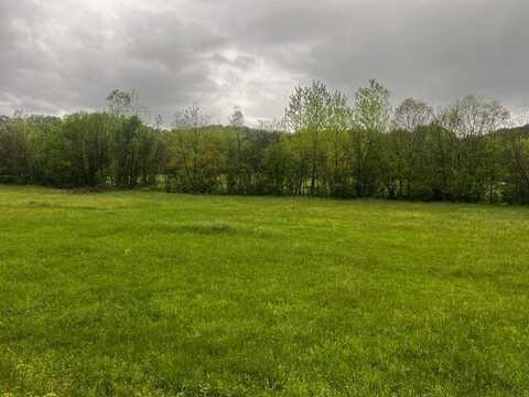 Fowlers Grove Rd, Newport, TN 37821