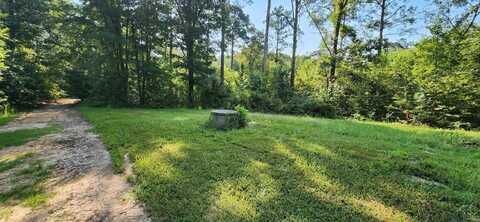 5680 S State Highway 43, Jefferson, TX 75657