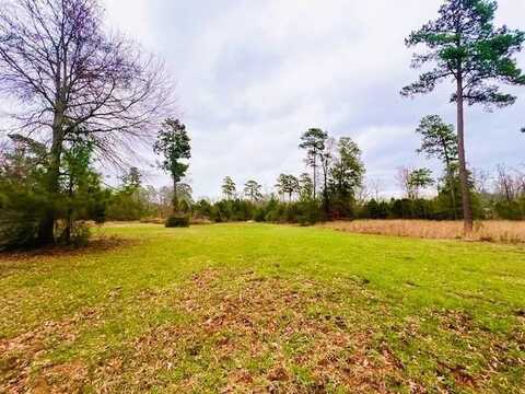 451 Old Tejas Trail East, Hemphill, TX 75948