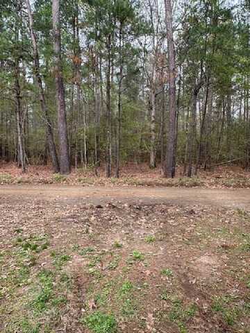 1289 Camp Spring Road, Hemphill, TX 75948