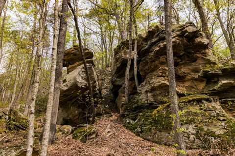 Tbd9999 Wentworth School Road, Beattyville, KY 41311