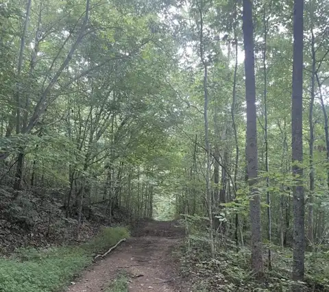 45 Acres Kincaid Road, Manchester, KY 40962