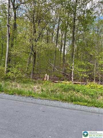 Outer Drive, Coolbaugh Twp, PA 18347