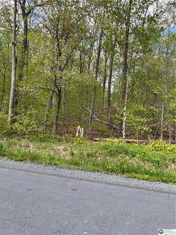 Outer Drive, Coolbaugh, PA 18347