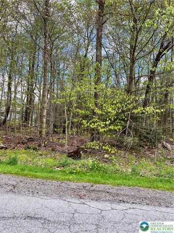151 Sitka Drive, Coolbaugh Twp, PA 18347