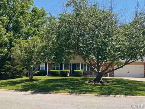 1001 Seine Drive, Lake Saint Louis, MO 63367