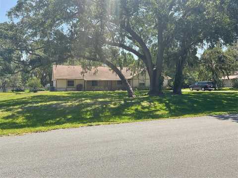 1725 tanglewood dr, Kissimmee, FL 34746