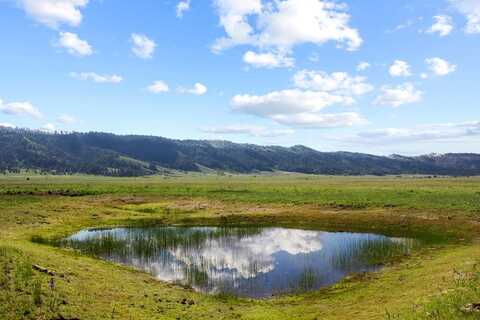 TBD Sixty Lane, Cascade, ID 83611