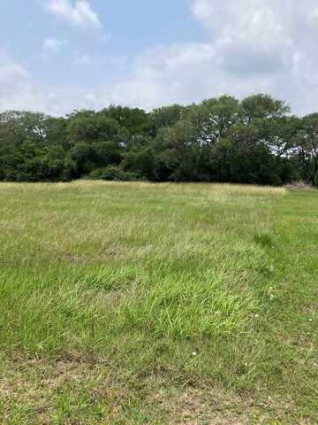 4 River Hollow Way, Blessing, TX 77419