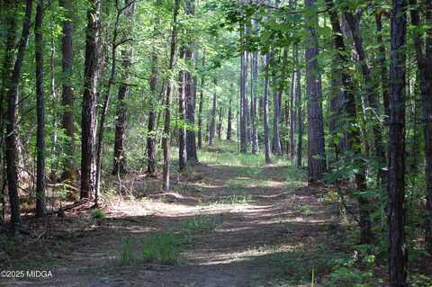 00 Hays Farm Road, Musella, GA 31066