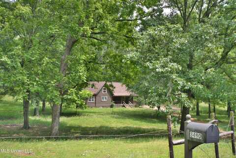 3490 Sherrod Road, Nesbit, MS 38651