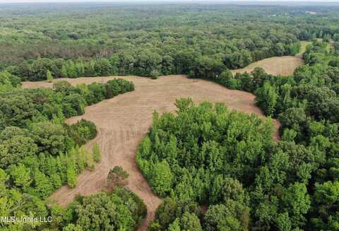 656 Sunset Drive, Coldwater, MS 38618