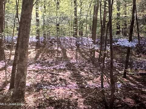 Stigler Rose Dr., Florence, MS 39073