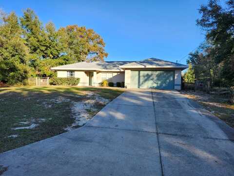 113 GUAVA TERRACE, OCKLAWAHA, FL 32179