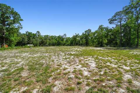Tbd SW 150TH ST, DUNNELLON, FL 34432