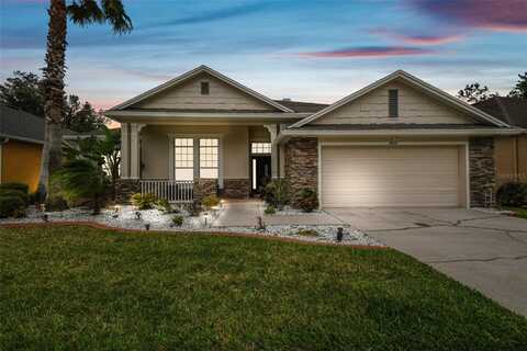 7410 AMBLESIDE DRIVE, LAND O LAKES, FL 34637