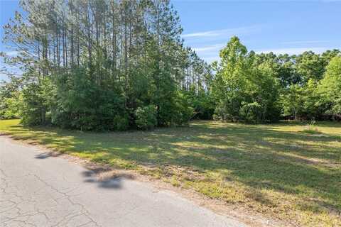 0 NW 173RD STREET, TRENTON, FL 32693