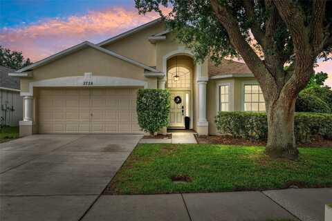 3738 JUDSON DRIVE, LAND O LAKES, FL 34638