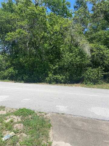 BLUFFVIEW DR, SPRING HILL, FL 34609