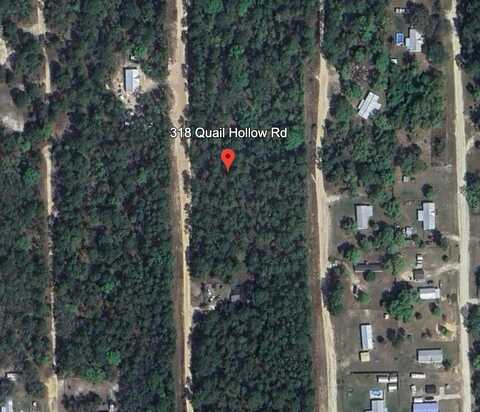 318 QUAIL HOLLOW ROAD, SATSUMA, FL 32189