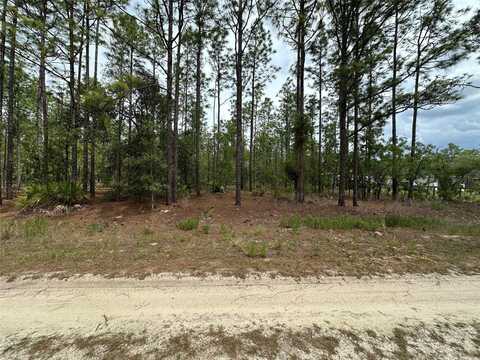 00 SW 75TH STREET, DUNNELLON, FL 34432