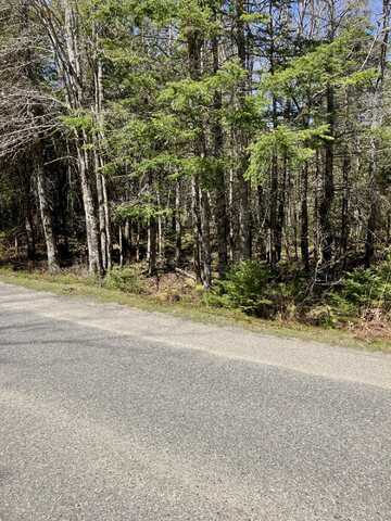 Lot 94 Yoho Head Road, Machiasport, ME 04655