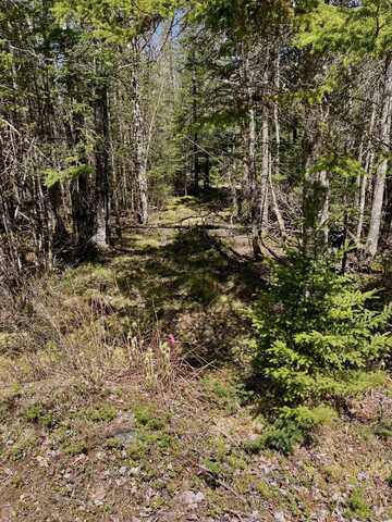 Lot 94 Yoho Head Road, Machiasport, ME 04655