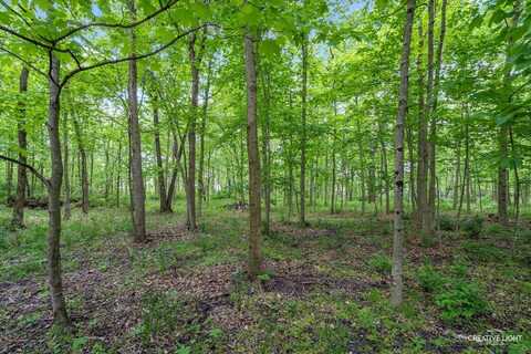 7274 Fitkins Drive, Oswego, IL 60543