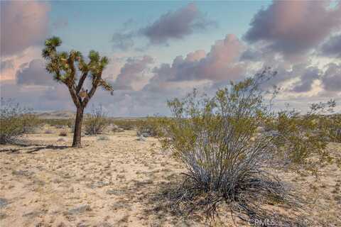 4444 Cielito Drive, Joshua Tree, CA 92252