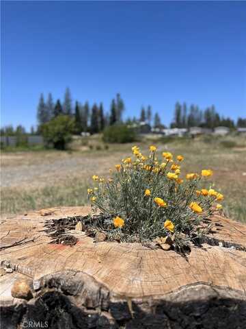 1749 Whitaker Road, Paradise, CA 95969