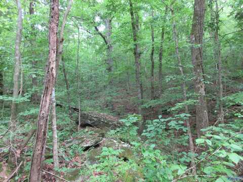 2025 County Road 74, Bridgeport, AL 35740