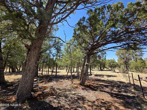 3874 Durango Drive, Happy Jack, AZ 86024