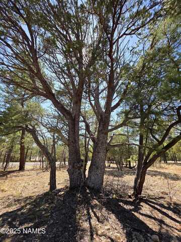 3286 Roundup Lane, Happy Jack, AZ 86024