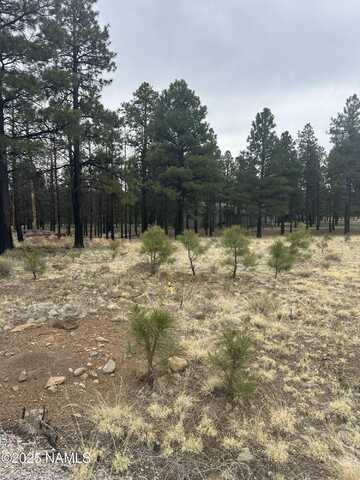 11835 Glodia Drive, Flagstaff, AZ 86004