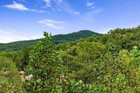 6 Gilliam Road, Mineral Bluff, GA 30559