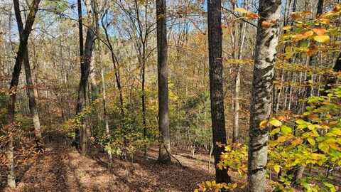 Lot 266 Catawba Circle, Ellijay, GA 30540