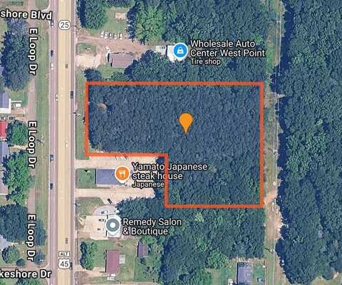 Hwy 45 ALT, West Point, MS 39773